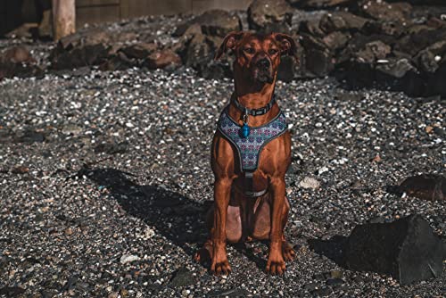 Light For Dog Collar, Waterproof Light, Motion Activated Light #TOP2