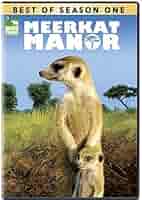 その他 Meerkat Manor: Best of Season 2 [DVD] Amazon.com: Best of Meerkat Manor - Season 1 : Meerkat Manor