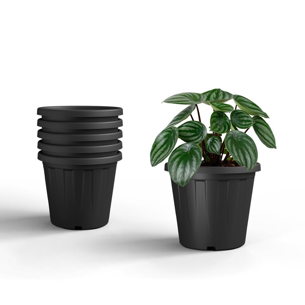 YUCCABE ITALIA 6 Pack White Nursery Planters -20