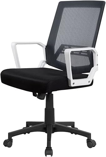 Executive Office Chair,Office Chair Computer Desk Chairs - Mesh Home Office Desk Chairs with Lumbar Support & 3D Adjustable Armrests (Color Gray)