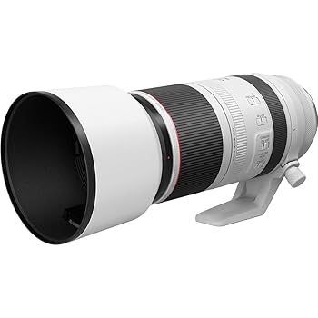 【美品】Canon RF100-500mm F4.5-7.1L IS USM big-4112C002.jpg