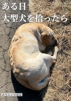ある日大型犬を拾ったら: 犬が倒れてる。息子のこの言葉で私たちの生活は変わった (狛子の日常)