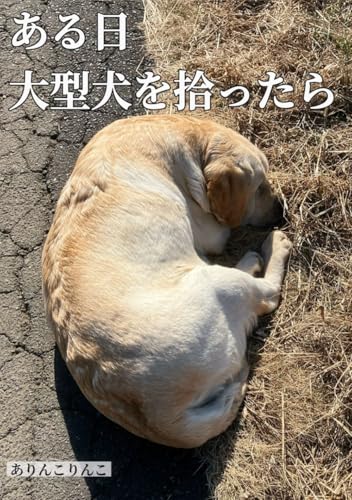 ある日大型犬を拾ったら: 犬が倒れてる。息子のこの言葉で私たちの生活は変わった (狛子の日常)