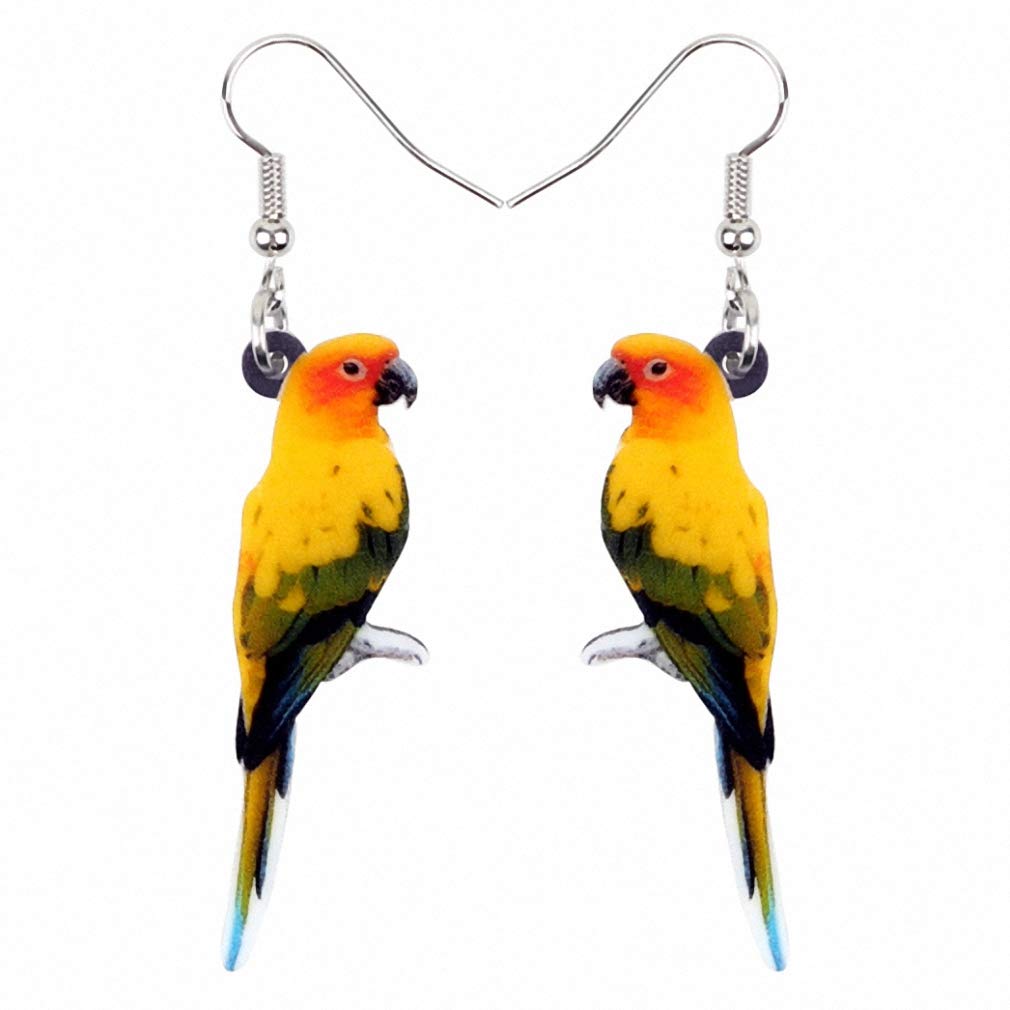 10 Best Parakeet Bird Earrings for Bird Lovers Hummingbirds Plus