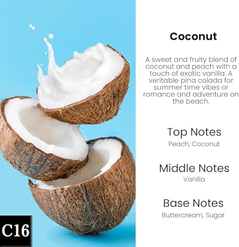 Image of HoogaLife Car Air Freshener Diffuser 2 Pack Hanging Air Freshener Diffuser - Coconut Fragrance Oil Air D iffuser for Car, 45+ Days Long Lasting Fragrance Made in USA (C16)