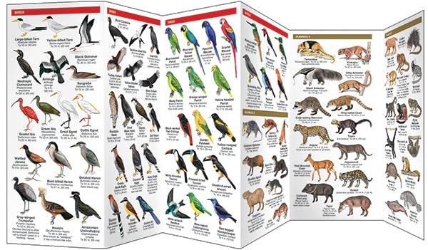 Amazon Wildlife, 2nd Ed: A Folding Pocket Guide to Familiar Animals (Nature Observation International) - Image 3
