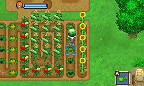 Amazon Com Bokujou Monogatari Futago No Mura Japanese Version For Japanese System Only Video Games