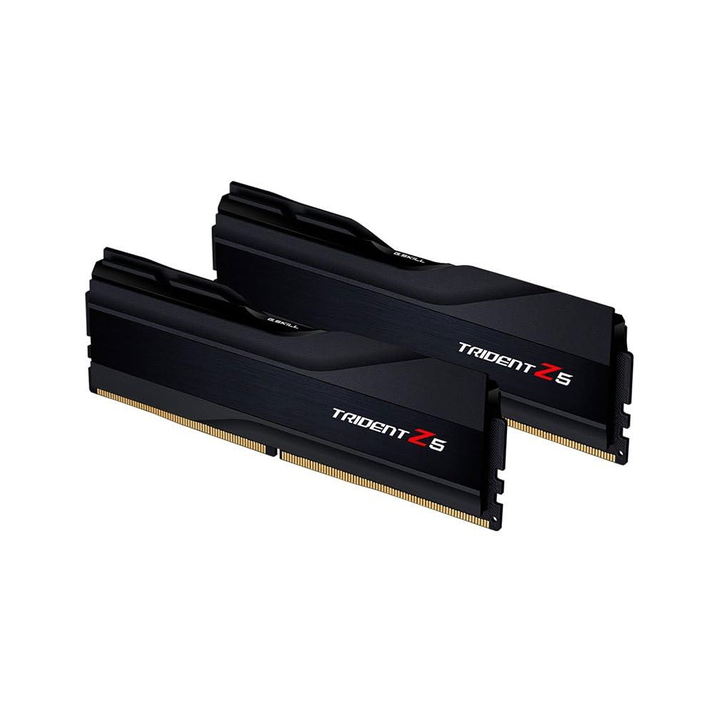 Amazon.com: G.Skill 2Gx2-Tz5K Memory Module 64 Gb 2 X 32 Gb Ddr5