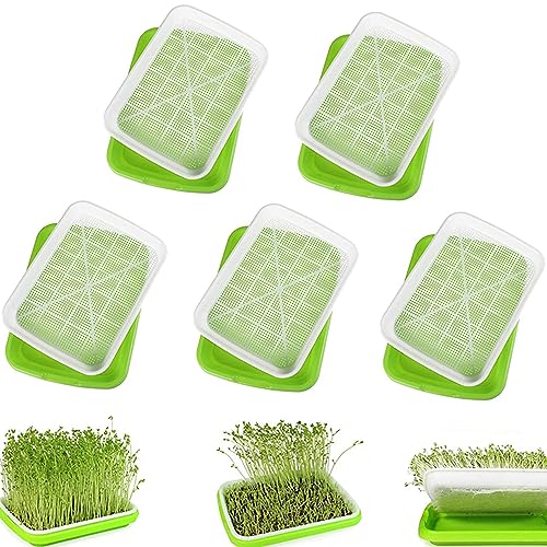 Qanye 5 Pièces Plateau de Germination, Bac...