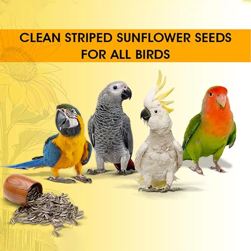 Image of BOLTZ Striped Premium Sunflower Seeds for Birds, Bird Food for Lovebirds, Cockatiels, Sun Conure, African Grey Parrot, Amazon, Macaws, Cockatoos for All Life Stages (450Gm (Pack 1))