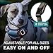 Embark Adventure Dog Harness, Reflective Trim No Pull Dog Harnesses for Small Sized Dogs - Military Grade Nylon, Front Clip with Gel Lined Handle. Soft & Padded Puppy