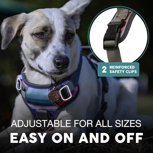 Embark Urban Dog Harness, No Pull Dog Harness with 2 Leash Clips, Dog Harness for Medium Dogs No Pull. Front & Back with Control Handle, Adjustable Dog Vest, Soft & Padded for Comfort Embark Urban Dog Harness, No Pull Dog Harness with 2 Leash Clips, Dog Harness for Medium Dogs No Pull. Front & Back with Control Handle, Adjustable Dog Vest, Soft & Padded for Comfort