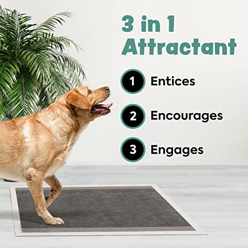 Image of Disposable Puppy Pads Potty Training - 25 Activated Charcoal Pee Pads for Dogs with Attractant - Wee Wee Absorbent, Odor Neutralizer Dog Pads - Five Layered Pet Potty Pads - 23 inch x 23 inch