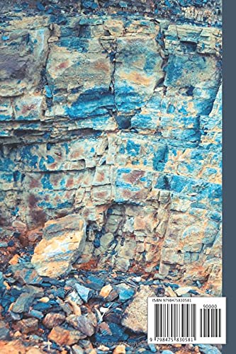 Rock Collecting Log Book: Rockhounds Handbook For Identifying Rocks and Minerals - Image 2