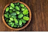 exoticsamen.com PREMIUM QUALITY SEEDS