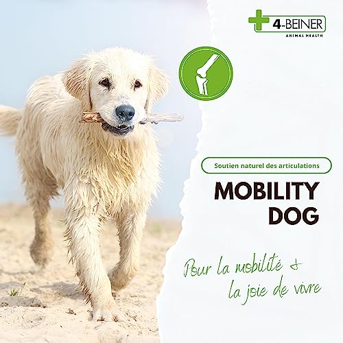 4-BEINER Mobility-DOG, 120 comprimés pour les articulations de chiens, griffe du diable, MSM, chondroïtine, glucosamine, hyaluron, extrait d'encens, bromélaïne, moules aux orles verts, vitamine B etc. – Image 4