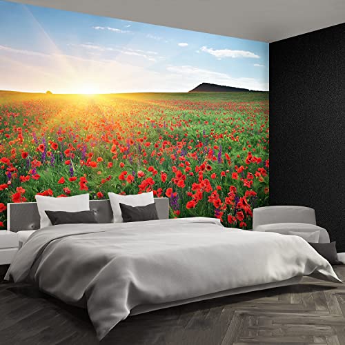 Papier Peint Décoration Murale Tulup Coquelicot Haute Définition - 3