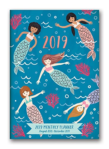 Télécharger Orange Circle Studio 2019 mensuel Pocket Planner 2018-2019 Potpourri livre En ligne