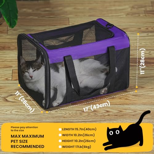 Conlun Kattendrager, zachte huisdierendragers voor honden met 4-zijdig gaas, luchtvaartmaatschappij goedgekeurde kattentransportdrager voor kleine en middelgrote katten, kittens, puppy's tot 6 kg, - Afbeelding 3
