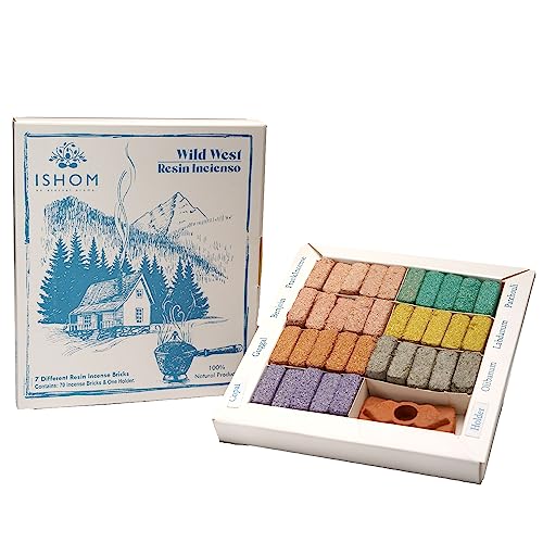 Image of Wild West Smudge Incense 70 Bricks with Holder Combo, 7 Natural Aromatic Fragrances - Copal, Guggal, Benzoin, Frankincense, Olibanum, Labdanum,Patchouli for Meditation & Home Purification
