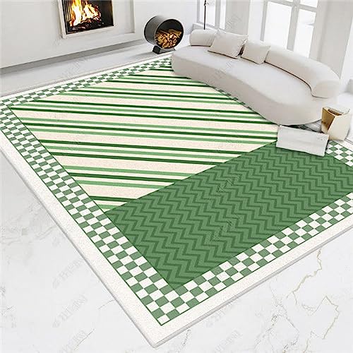 Tapis lavable en machine antidérapant pour un salon moderne sans tache