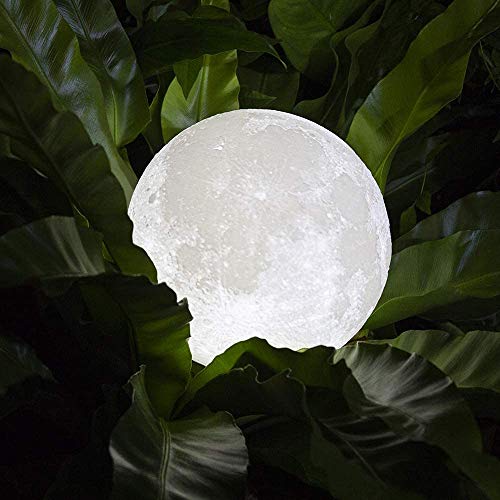 Image of Xergy 3D Printed Rechargeable Moon Lamp With Touch Control Adjust Brightness Light With Wooden Standfor Home Decoration (15 Cm Multi Color) - Led