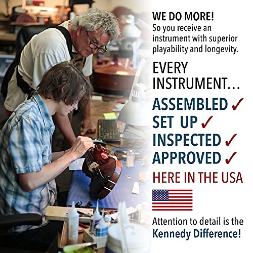 Professional Violin Beginner Full Size