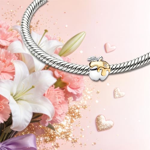 Image of Mom Family Charms Bead for Bracelets and Necklaces Jewelry Charm for Women Valentine Mother's Day