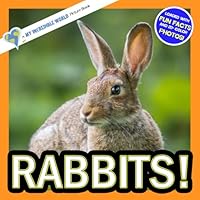 Rabbits!: A My Incredible World Picture Book for Children (Volume 9) 1718730454 Book Cover