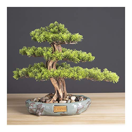 QIooQsaQ Árbol bonsái artificial realista árbol bonsái sintético, planta de interior, maceta redonda de cerámica negra y guijarros decoración de escritorio, regalos novedosos (H14.2) árboles bonsái de