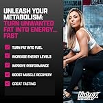 Nutrex Research L-Carnitine 3000 (31 Servings, Berry Blast) | Liquid Shots, Stimulant Free | Supports Muscle Recovery For Men and Women - Image 3