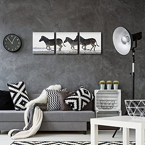 Pyradecor Zebra Canvas Prints Wall Art Black And White Animals Pictures Paintings For Living Room Bedroom Bathroom Home Decorations 3 Piece Modern Stretched And Framed Giclee Horse Artwork #TOP2