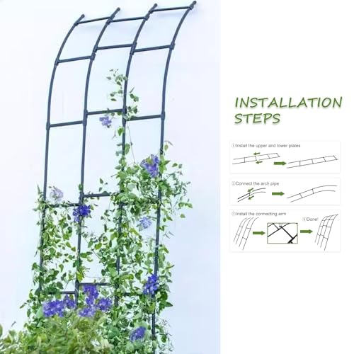 Arco de jardín decorativo con enrejado de metal: soporte para plantas trepadoras de pared 7