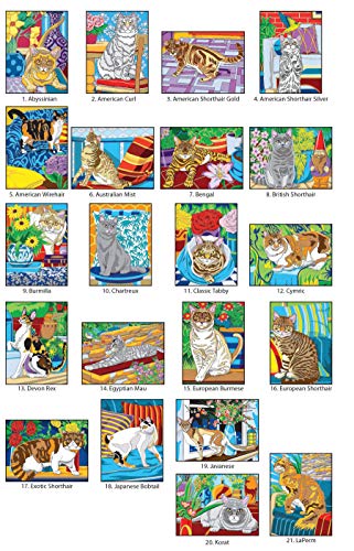 Creative Haven Cats Color by Number Coloring Book (Adult Coloring Books: Pets) - Image 2