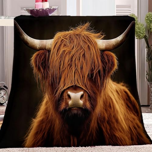 Kuscheldecketier Kuh Nahaufnahme 180 X 200 cm Flauschig Weich Warme Bequeme Schwarz Braunes Tagesdecke Sofa Bett Picknickdecke Wohnzimmer Schlafzimmer Sofadecke