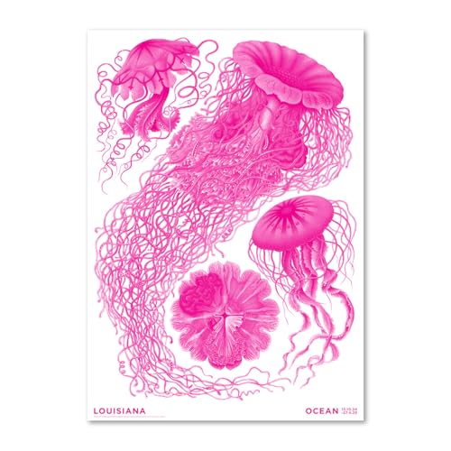 �f���}�[�N ���C�W�A�i�ߑ���p�� �|�X�^�[ Haeckel ? Discomedusae pink - Ocean (2024) A2 42×59.4cm