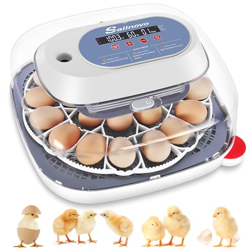 Sailnovo 24 Eggs Incubator for Chicken Eggs with 4 Modes 360 View Incubator with Automatic Egg Turning and Temperature Control Humidity Display Digital Incubator for Chicken Quail Duck(Sky Blue)