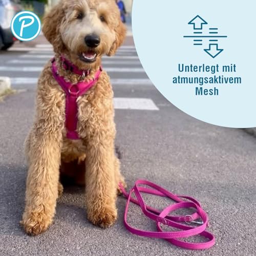 Petlando Hundeleine Mesh, 2,30 m Länge & 1,5 cm Breite für kleine Hunde, verstellbar & pflegeleicht, Farbe Fuchsia, Hands Free Führleine