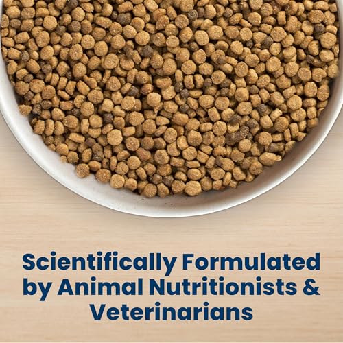Image of Blue Buffalo Life Protection Formula Chicken & Brown Rice Small Bite Adult Dry Dog Food, Supports Immunity with Antioxidant-Rich LifeSource Bits, Promotes Healthy Muscles, Skin & Coat Health, 15 lbs.