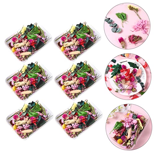 Kit de flores secas estilo aleatorio para manualidades miniatura 4