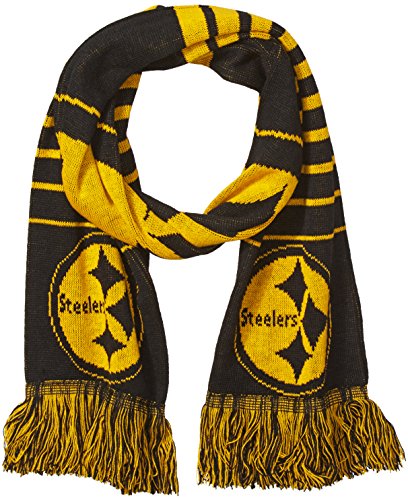 Pittsburgh Steelers 2014 Big Logo Scarf