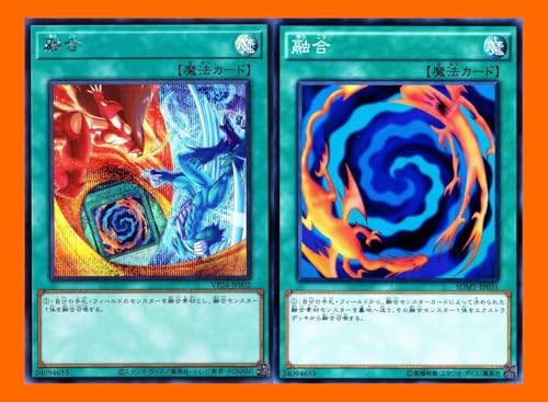 融合 イラスト違い & 通常イラスト QUARTER CENTURY LEGENDARY SELECTION heroデッキ パーツ 2枚セット