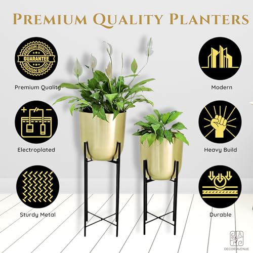 Image of Gold Planters with Black Stand (Set of 2) Pots for Living Room Bedroom Balcony Home and Office