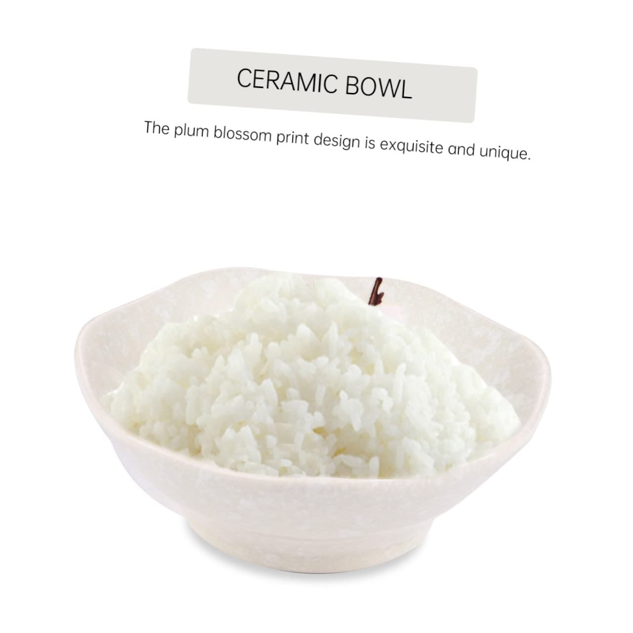 Service de Table Japonerie Assiette Cuillère Bol et Baguettes Tasse Personne en Céramique 6 Pièces Ensemble Pratique et Complet pour Usage Quotidien