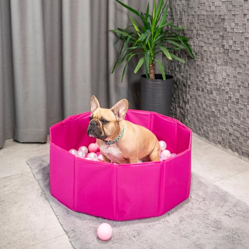 Petsona Hundepool Faltbar Mit Bunten Bällen, Planschbecken Und Badewanne Für Hunde Und Katzen, Pink: Puderrosa/Perle/Transparent