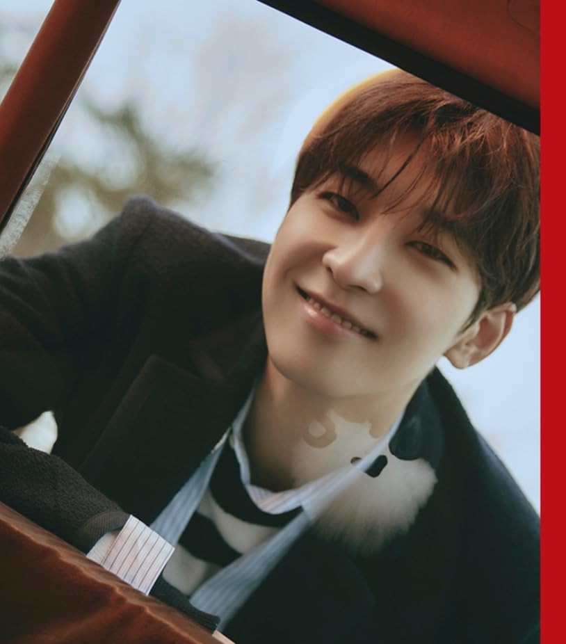 DICON ISSUE N°17 SEVENTEEN wonwoo ABユニット