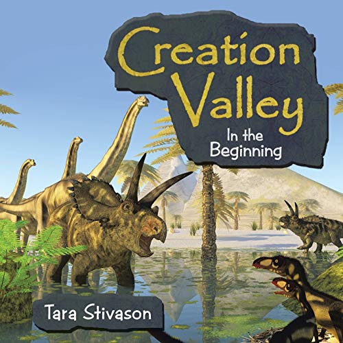 Creation Valley: In the Beginning Paperback – Illustrated, 10 Sept. 2014