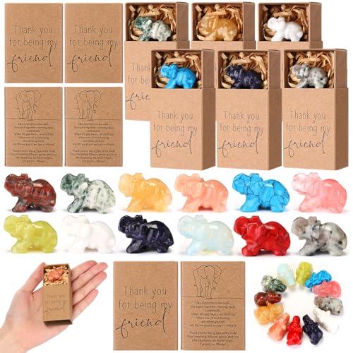 LemonRoad 6 Sets Friendsgiving Party Favors Elephant Gifts for Women