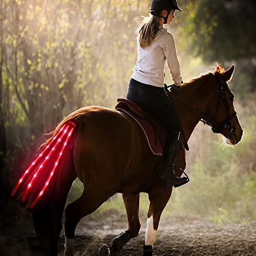 10 Best 10 Horse Tack With Lights Of 2021 of 2022