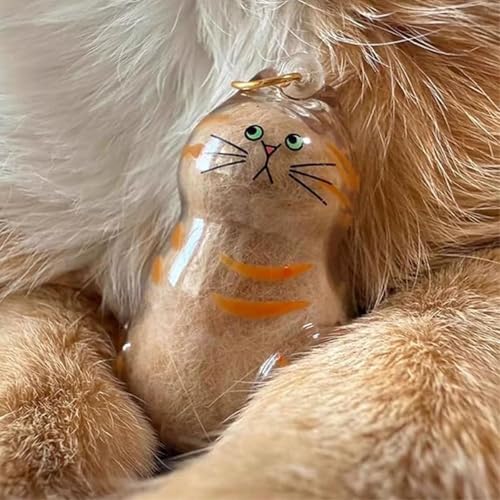 Frundoo Schlüsselanhänger mit Katzenhaar Aufbewahrungsflasche, 6 Pcs Katzenhaar-Schlüsselanhänger, Cat Hair Memorial Capsules Schlüsselbund, Transparente Katzenhaarspeicherbox, Tierhaar Anhänger